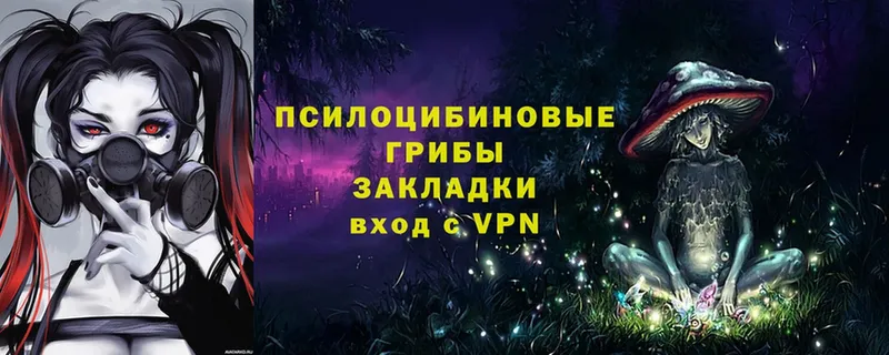 магазин продажи   Кемь  Галлюциногенные грибы прущие грибы 